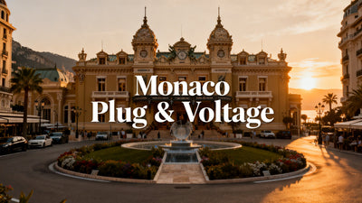 Do I Need a Voltage Converter & Plug Adapter for Monaco from the US?