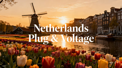 Do I Need a Voltage Converter & Plug Adapter for Netherlands from the US?